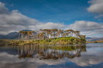 Light Reflections over Pine Island