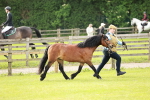 SBM_00456