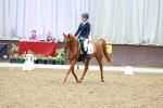 SBM_005008