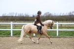 SBM_006749