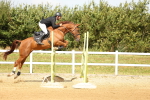 SBM_010458