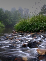 Allegheny National Forest portfolio
