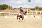 SBM_004303