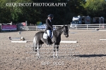 BPP_9005