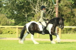 SBM_67461