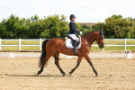 SBM_007654