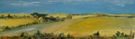 Hampshire Fields (2007)