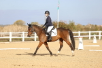 SBM_009175