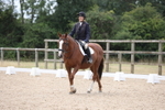 Unaffiliated Dressage portfolio