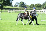 SBM_37102