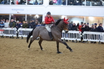 SBM_004575