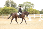 SBM_003236