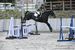BVRC SJ 170319 814