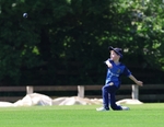 Netherfield CC U9B vs Sedgwick CC U9 (24/5/26) portfolio