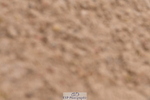 240121A-100330-00336