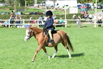 SBM_50353