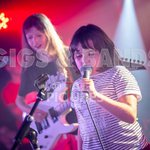 The Flaming Flamingos-27