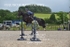 BPP_9593
