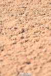 230610A-093146-02542