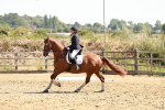 SBM_001662