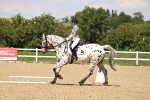 SBM_002060