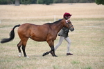 WJ6_6373
