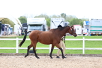 SBM_01832