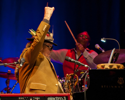 Bristol International Jazz & Blues Festival. portfolio