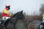 Wheatland Hunt PtP Chaddesley Races 03/12/23 portfolio