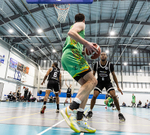 Harry Wentworth -6572