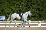 261-COOLEY_NOW_OR_NEVER-Georgina_Herrling-WEDTrotUp+DR portfolio
