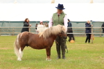 SBM_04475