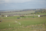 PtP 011219-0134