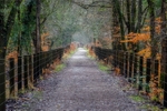 Towards Mallards Pike
