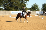 SBM_14154