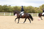 SBM_002185