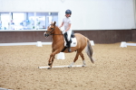 SBM_008162