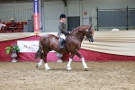 SBM_18681