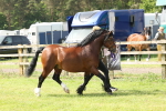 SBM_02207