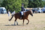 WJ6_8342