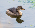 20140905-3K8A5412
