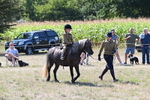 WJ6_7955