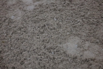 SBM_006618