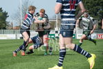 Guernsey v Westcombe Park-20