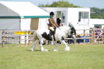 SBM_17248