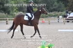 BPP_9648