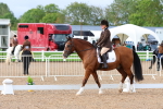 SBM_00331