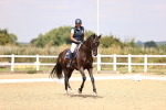 SBM_007345