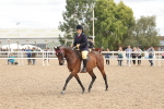 SBM_15994