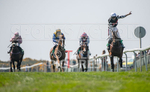 Guernsey Race Club Horse Racing 2018-5